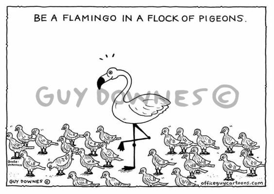 Be A Flamingo