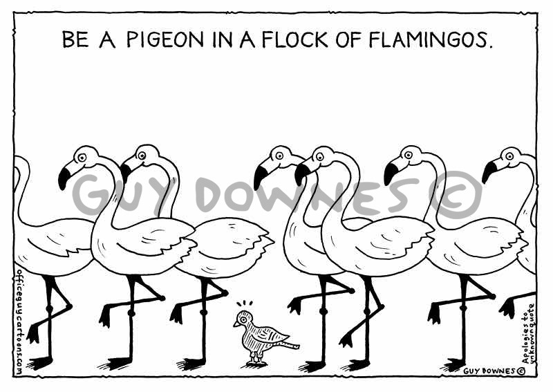 Be A Pigeon