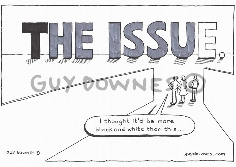 The Issue