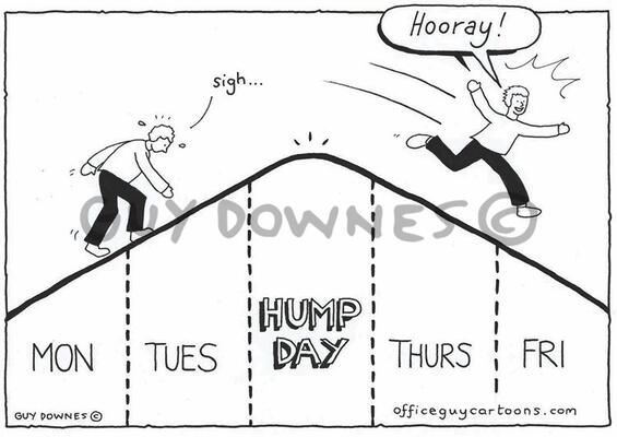 Hump Day
