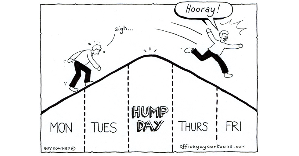 Hump Day - Office Guy Cartoons